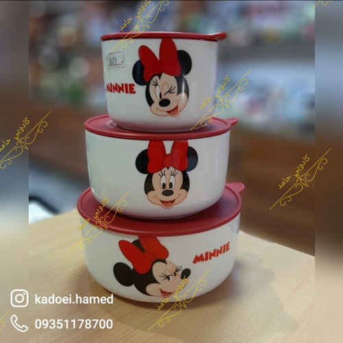 کاسه درب دار سه تایی